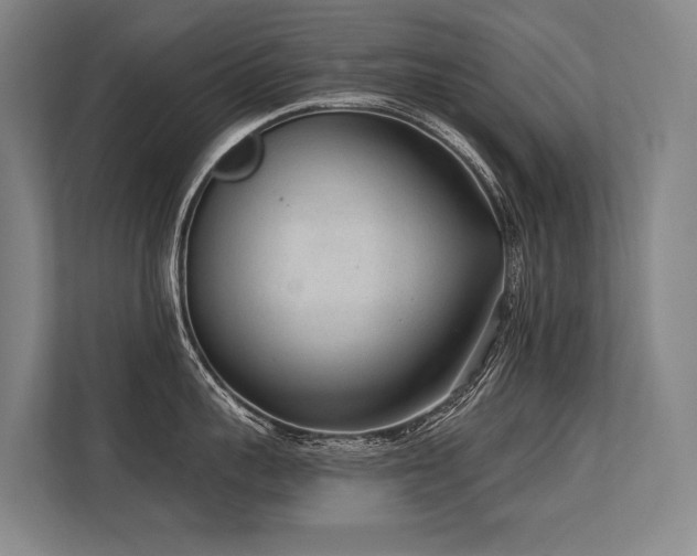 X0000113630959200909181514