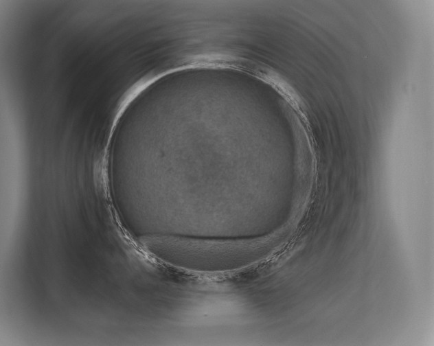 X0000113630960200909181514