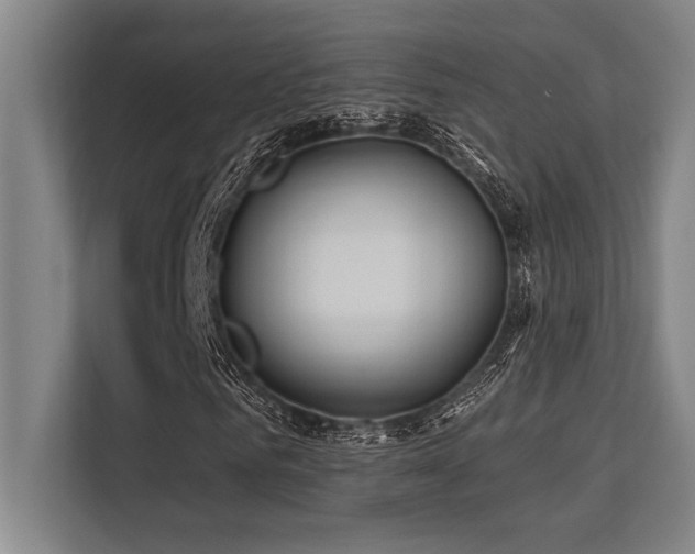 X0000113630961200909181513