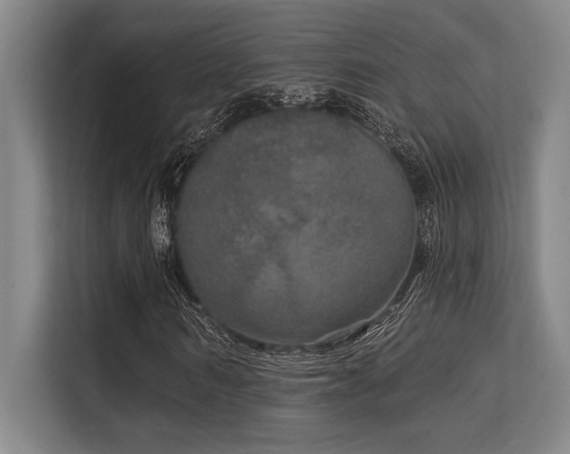 X0000113630962200909181513