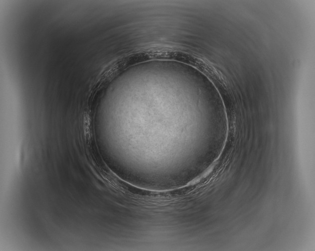 X0000113630964200909181513