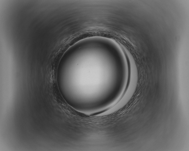 X0000113630965200909181513