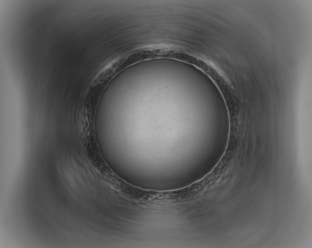 X0000113630967200909181513