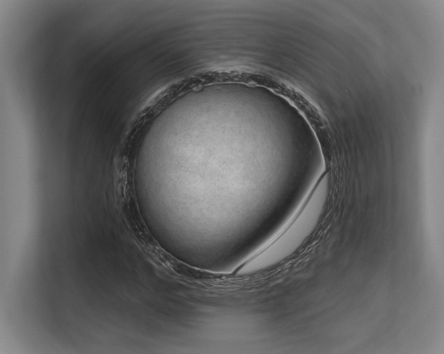 X0000113630968200909181513