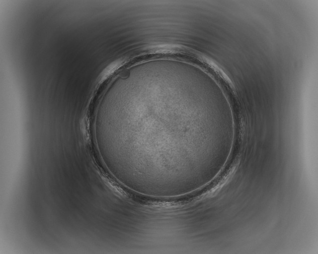 X0000113630970200909181513