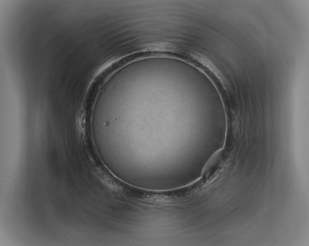 X0000113630971200909181513