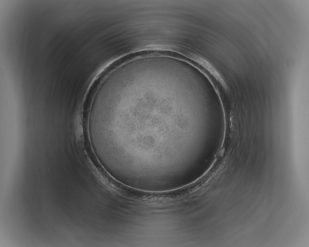 X0000113630972200909181513