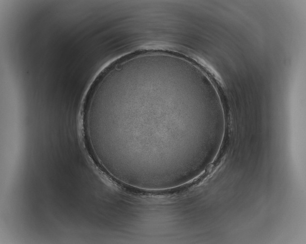 X0000113630976200909181513
