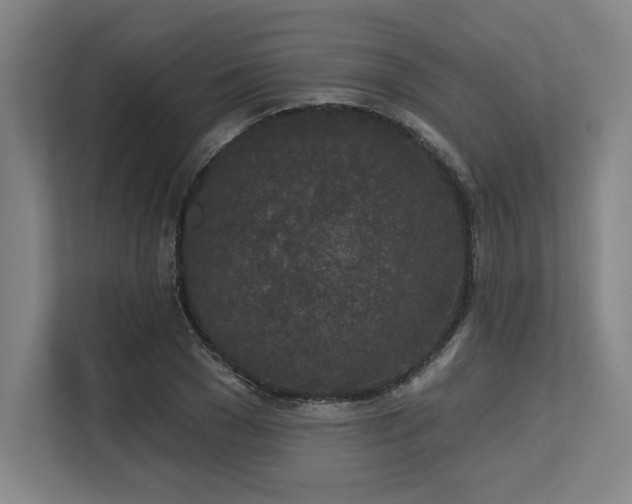 X0000113630977200909181513