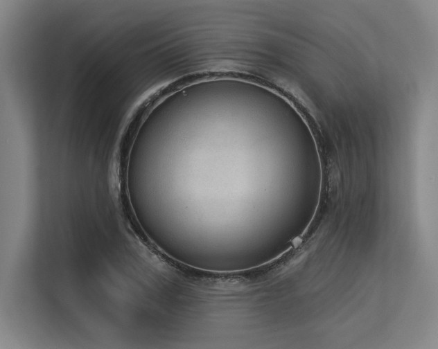 X0000113630979200909181513