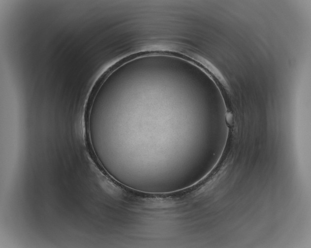 X0000113630980200909181513