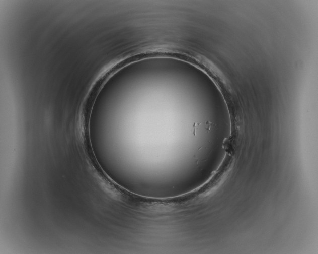X0000113630981200909181513