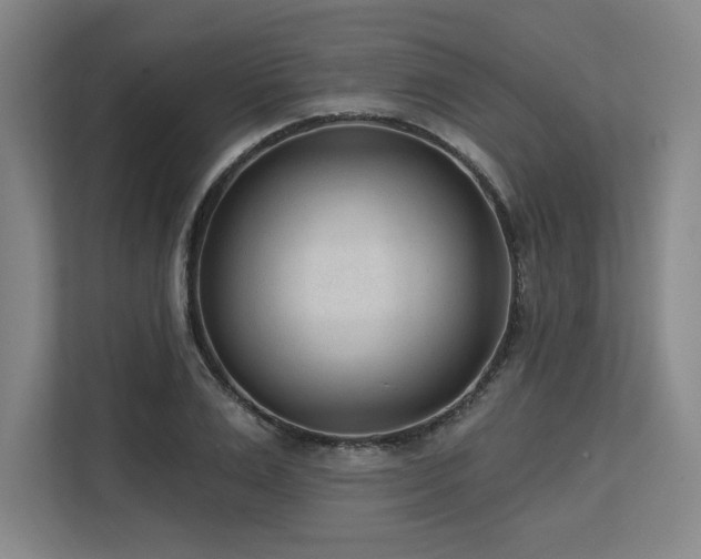 X0000113630983200909181513