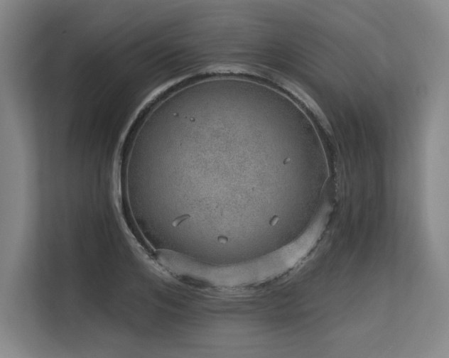 X0000113630984200909181513