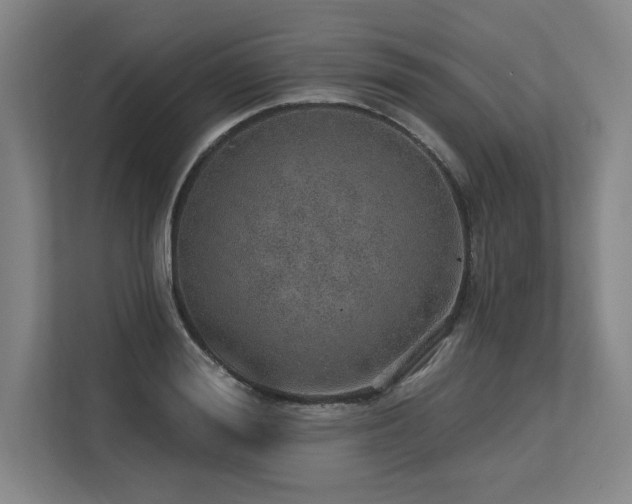 X0000113630988200909181513