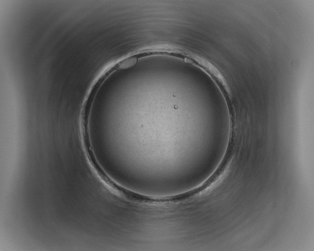 X0000113630989200909181513