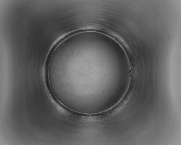 X0000113630991200909181513
