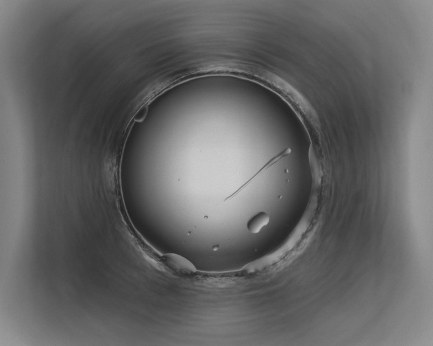 X0000113630993200909181513