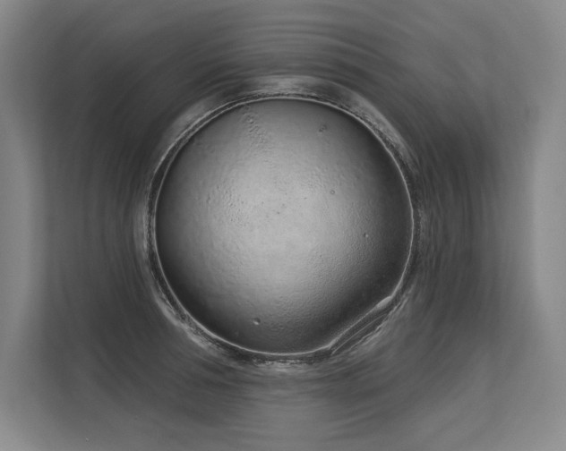 X0000113630994200909181513