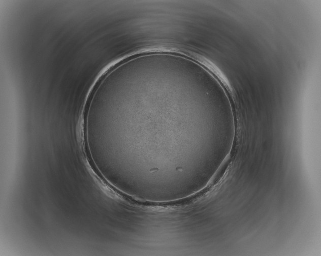 X0000113630996200909181513