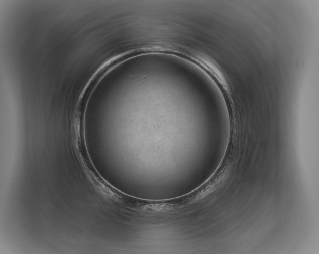 X0000113631000200909181513