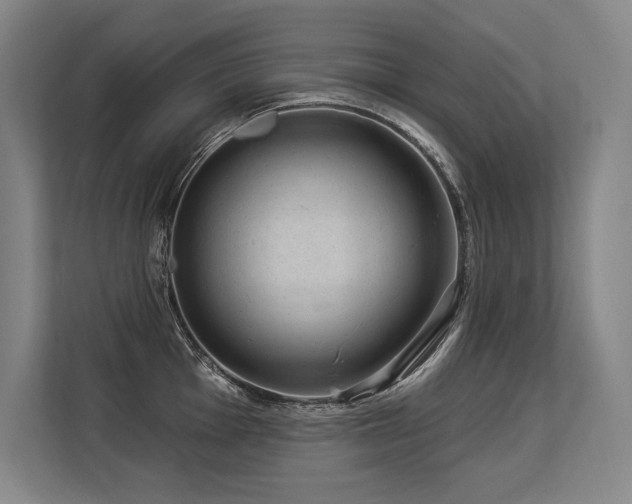 X0000113631001200909181513