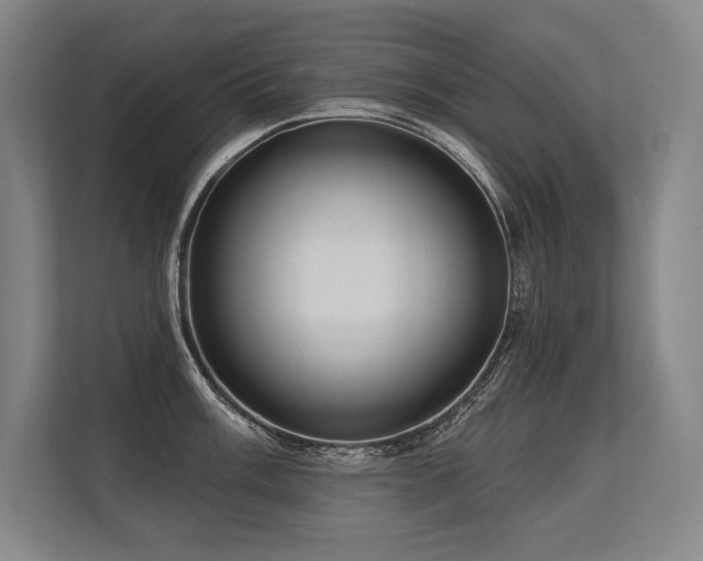 X0000113631003200909181513