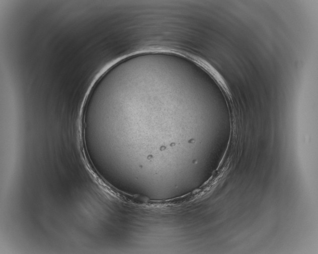 X0000113631004200909181513