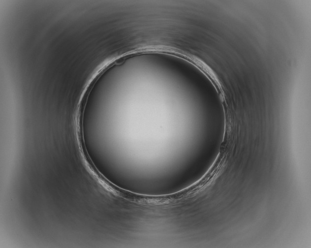 X0000113631005200909181513
