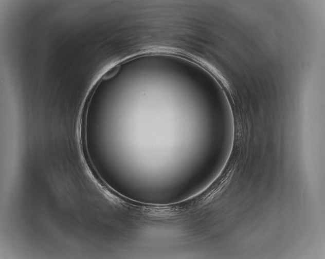 X0000113631007200909181513