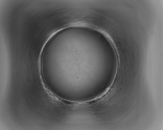 X0000113631008200909181513