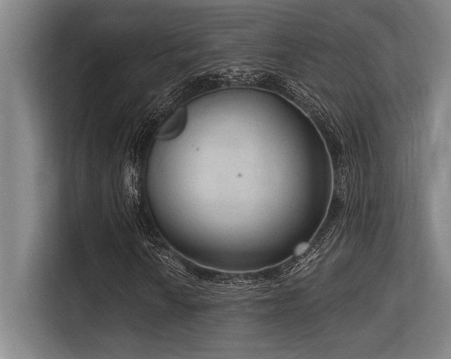 X0000113631010200909181512