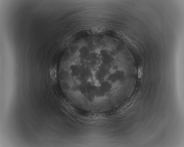 X0000113631011200909181512