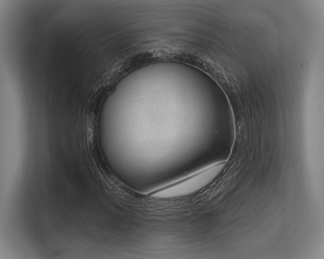 X0000113631012200909181512