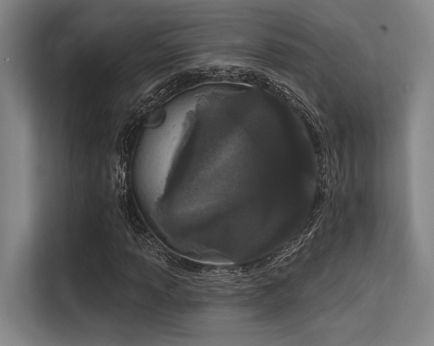 X0000113631013200909181512