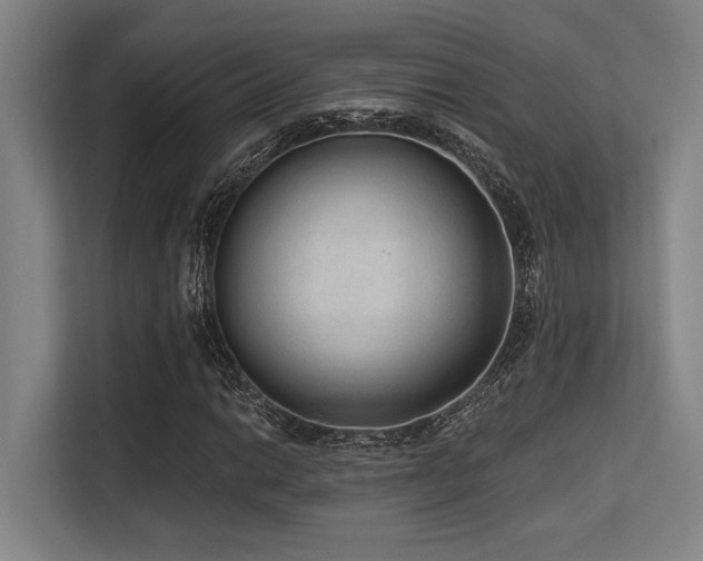 X0000113631014200909181512
