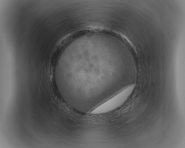 X0000113631016200909181512