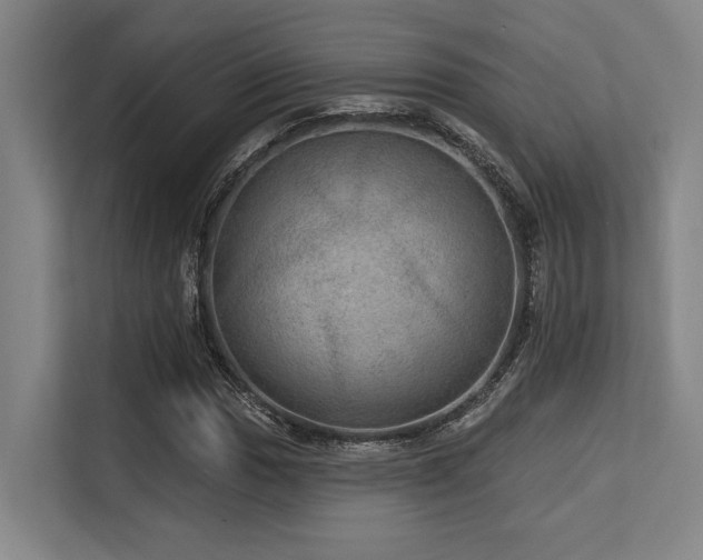 X0000113631017200909181512