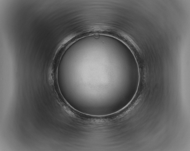 X0000113631018200909181512