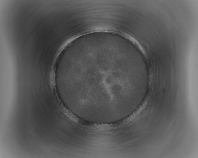 X0000113631019200909181512
