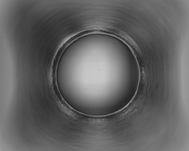 X0000113631020200909181512