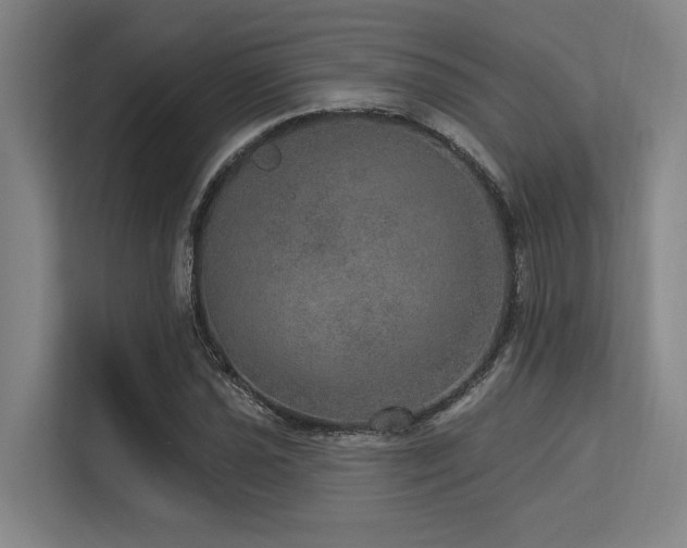 X0000113631021200909181512