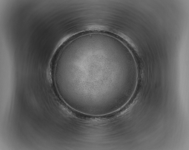 X0000113631022200909181512
