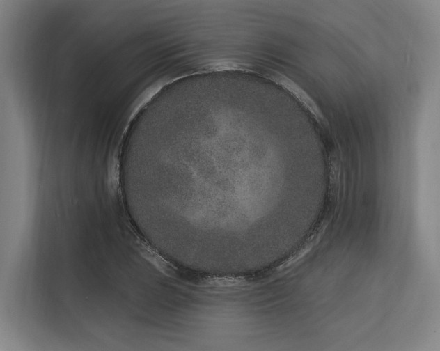 X0000113631023200909181512