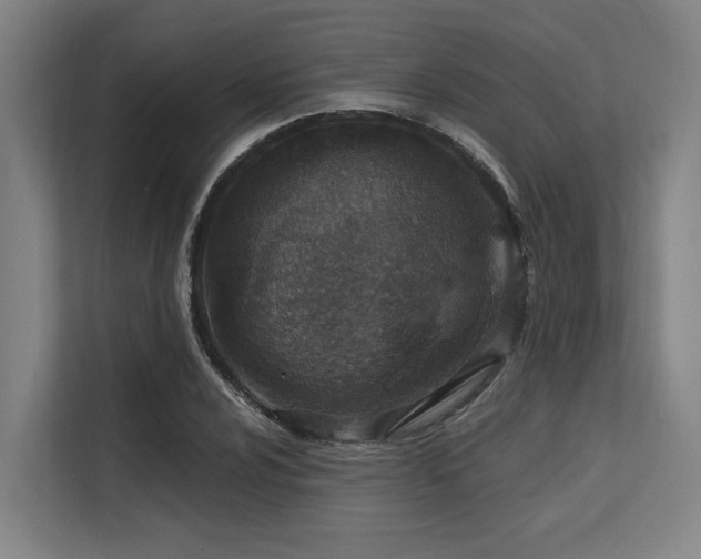 X0000113631024200909181512