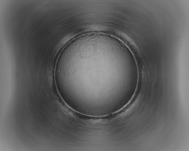 X0000113631025200909181512