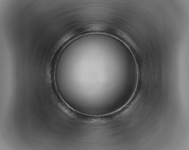 X0000113631026200909181512