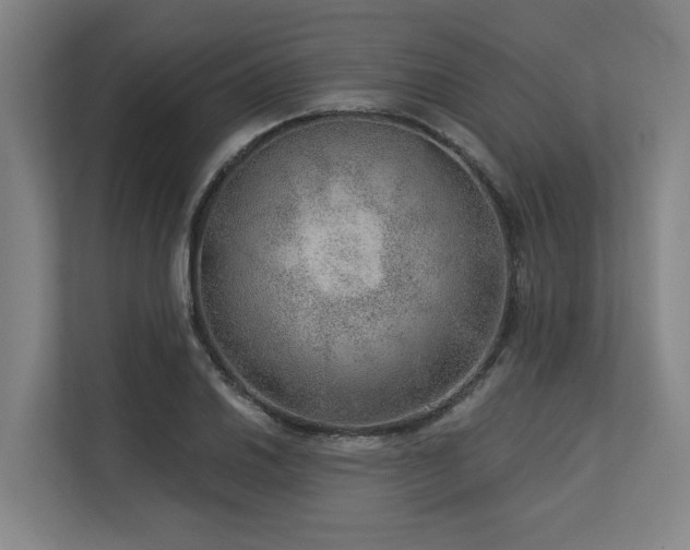 X0000113631030200909181512