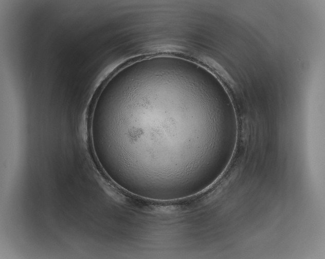 X0000113631031200909181512
