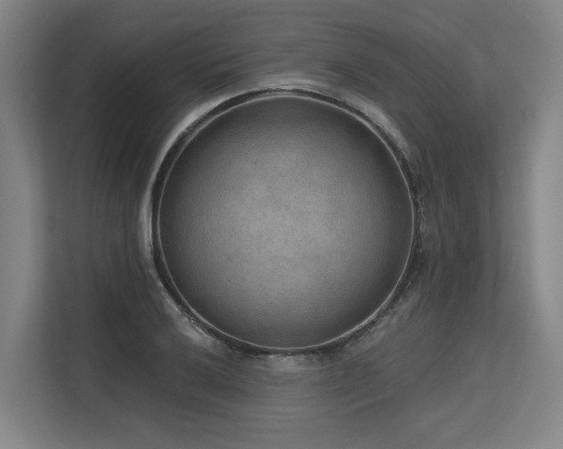 X0000113631032200909181512